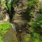 Watkins Glen